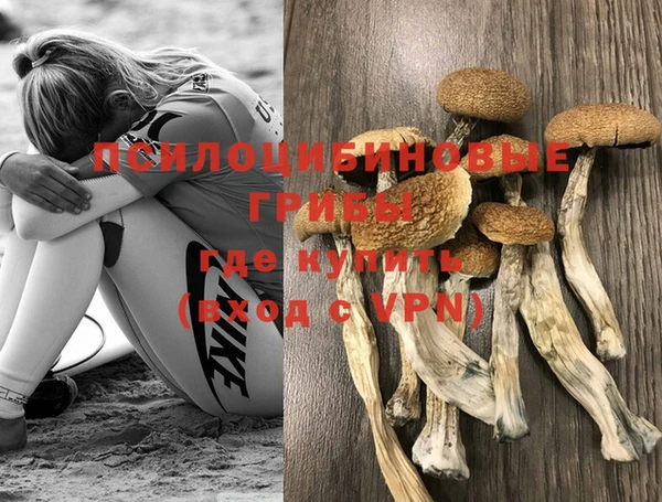 ALPHA PVP Алексеевка